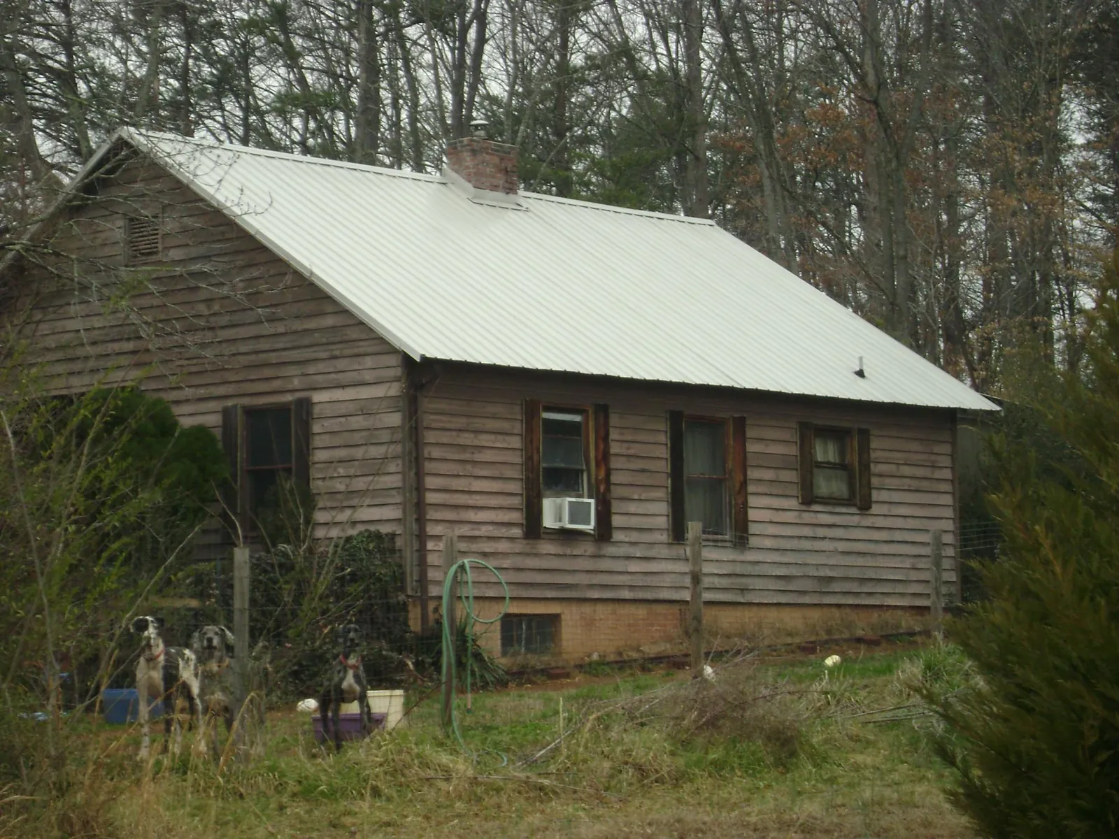 White metal roof on an old wood sided farmhouse, from a Asphalt Shingle Roof Repair job in Luna Pier